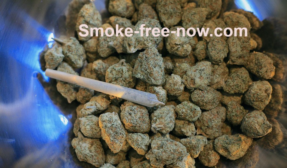 smoke-free-now.com